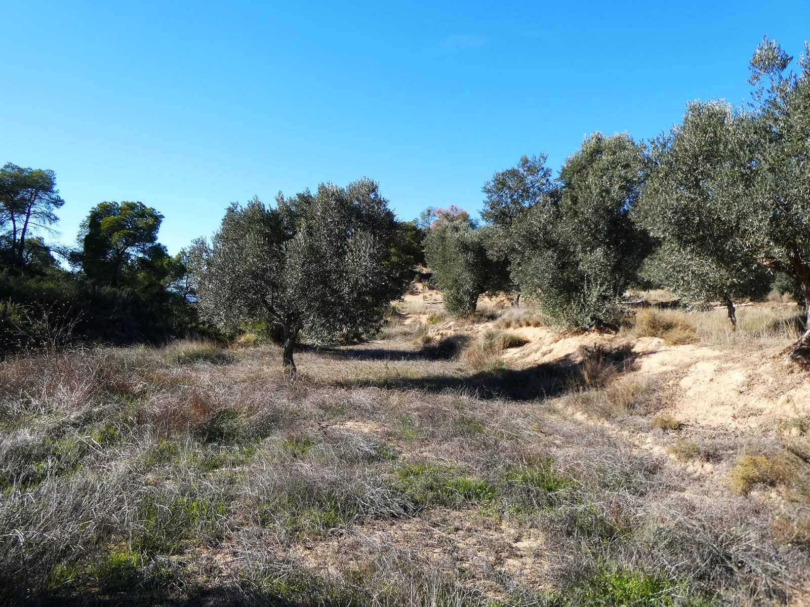 Finca/Herregård til salgs i Fabara - € 6 500 (Ref: 9425395)