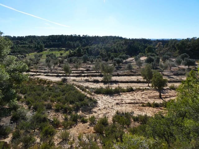 Finca/Landehus til salg i Fabara - € 6.500 (Ref: 9425395)