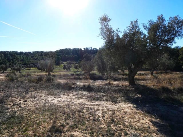 Finca/Landehus til salg i Fabara - € 6.500 (Ref: 9425395)