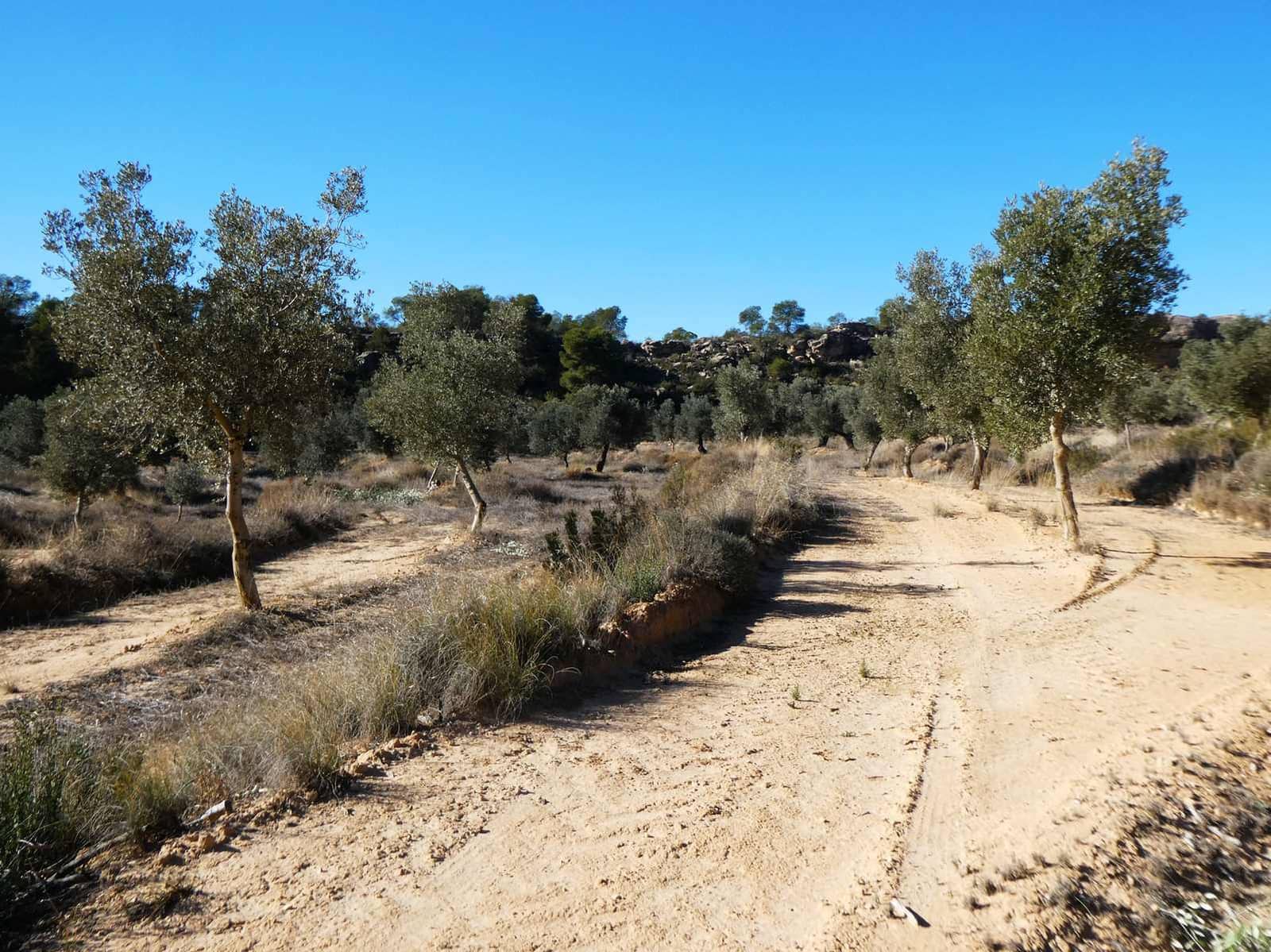 Finca/Herregård til salgs i Fabara - € 6 500 (Ref: 9425395)