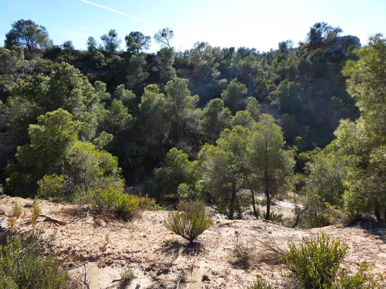 Finca/Herregård til salgs i Fabara - € 6 500 (Ref: 9425395)