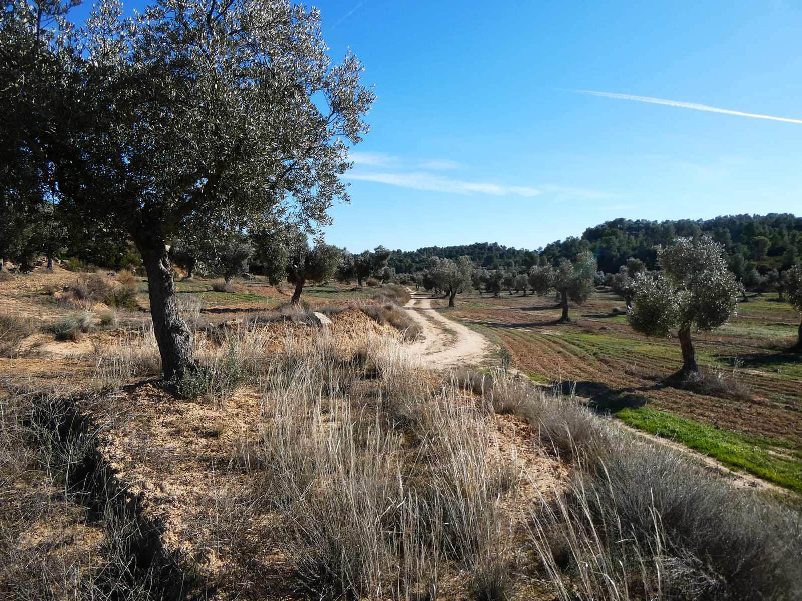 Finca/Herregård til salgs i Fabara - € 6 500 (Ref: 9425395)