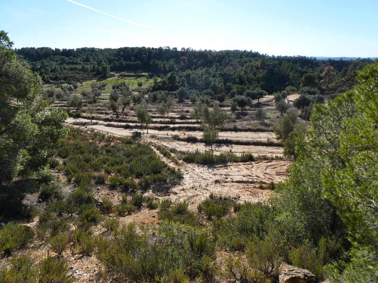 Finca/Herregård til salgs i Fabara - € 6 500 (Ref: 9425395)