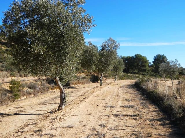 Finca/Landehus til salg i Fabara - € 6.500 (Ref: 9425395)