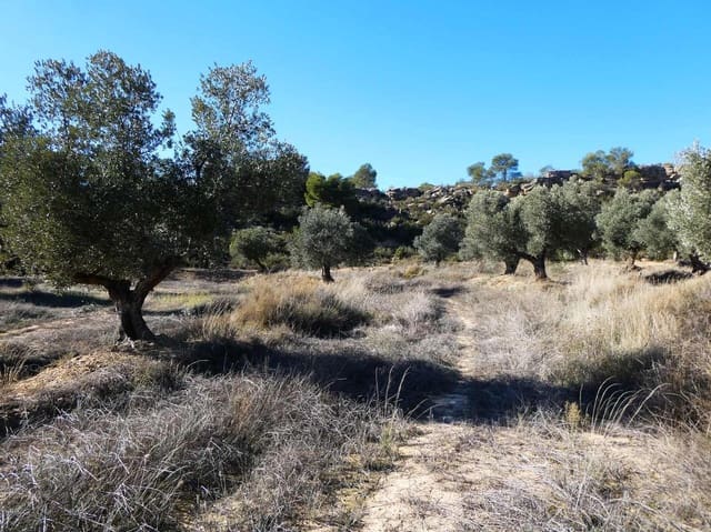 Finca/Landehus til salg i Fabara - € 6.500 (Ref: 9425395)