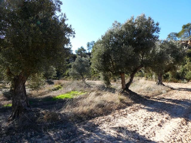 Finca/Landehus til salg i Fabara - € 6.500 (Ref: 9425395)