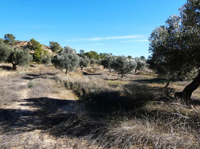 Finca/Landehus til salg i Fabara - € 6.500 (Ref: 9425395)