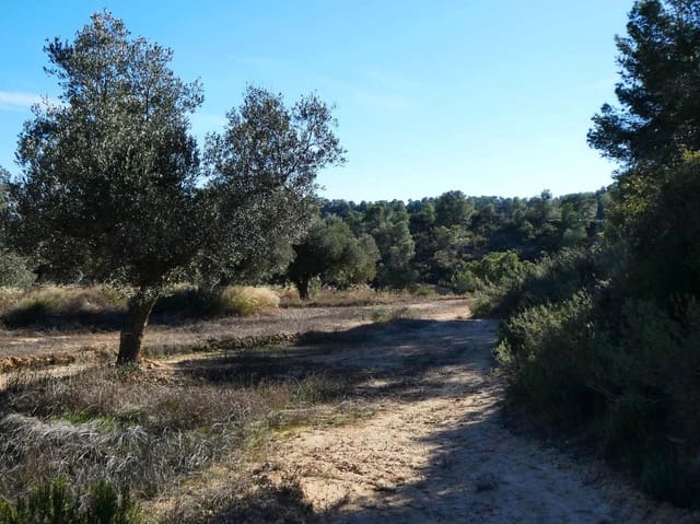 Finca/Landehus til salg i Fabara - € 6.500 (Ref: 9425395)