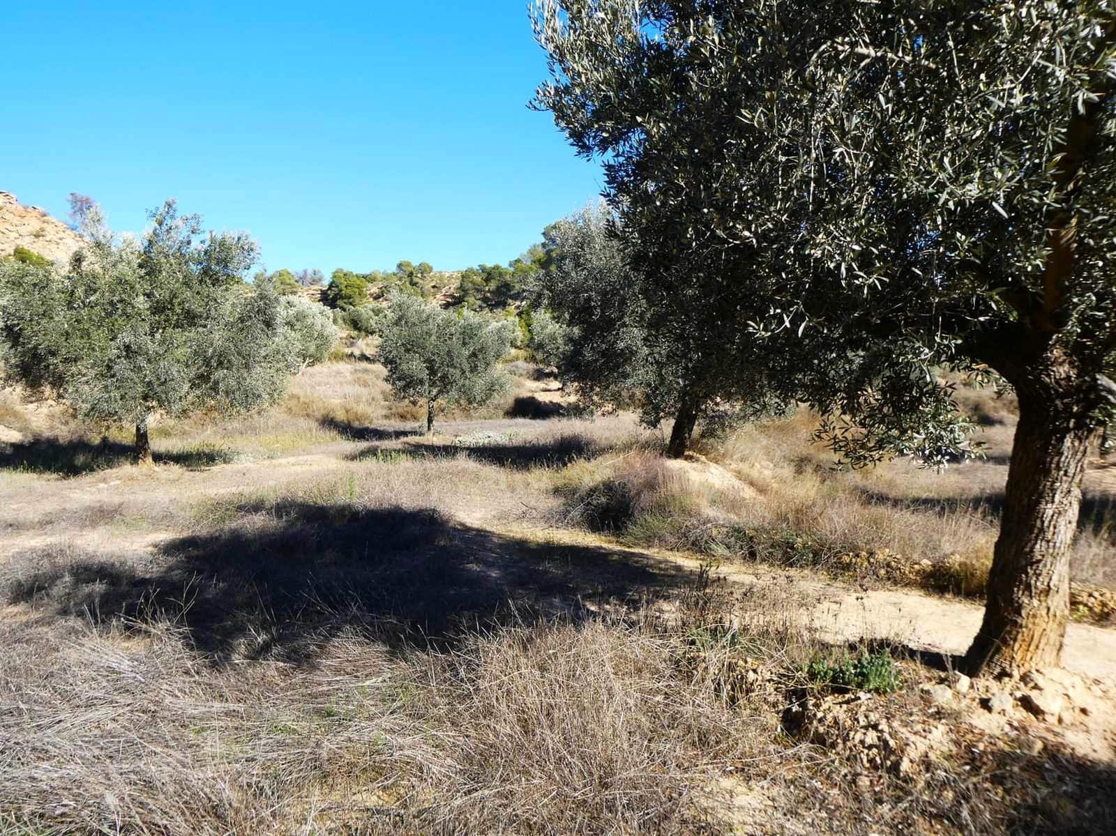 Finca/Herregård til salgs i Fabara - € 6 500 (Ref: 9425395)