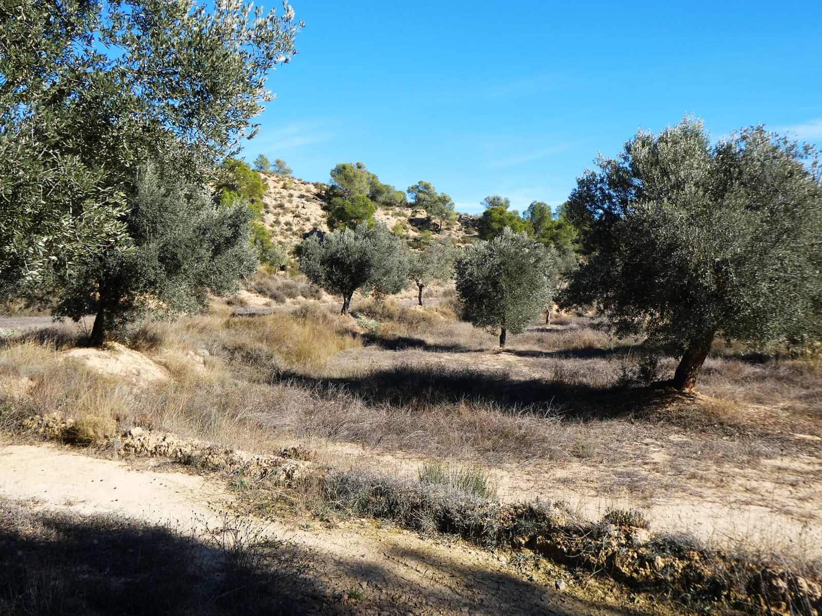 Finca/Herregård til salgs i Fabara - € 6 500 (Ref: 9425395)