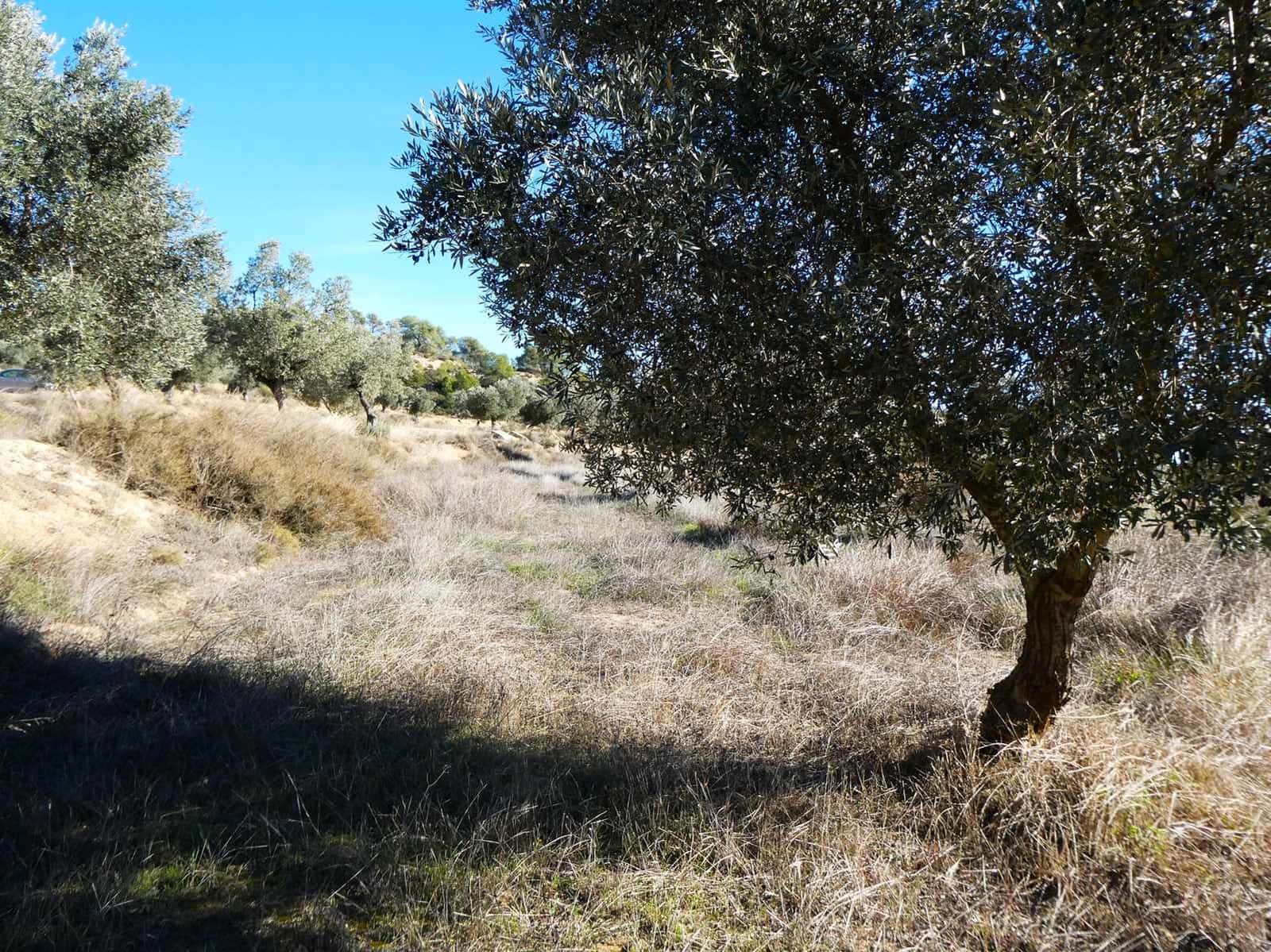 Finca/Herregård til salgs i Fabara - € 6 500 (Ref: 9425395)