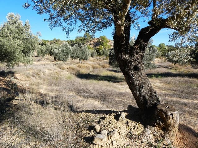 Finca/Landehus til salg i Fabara - € 6.500 (Ref: 9425395)