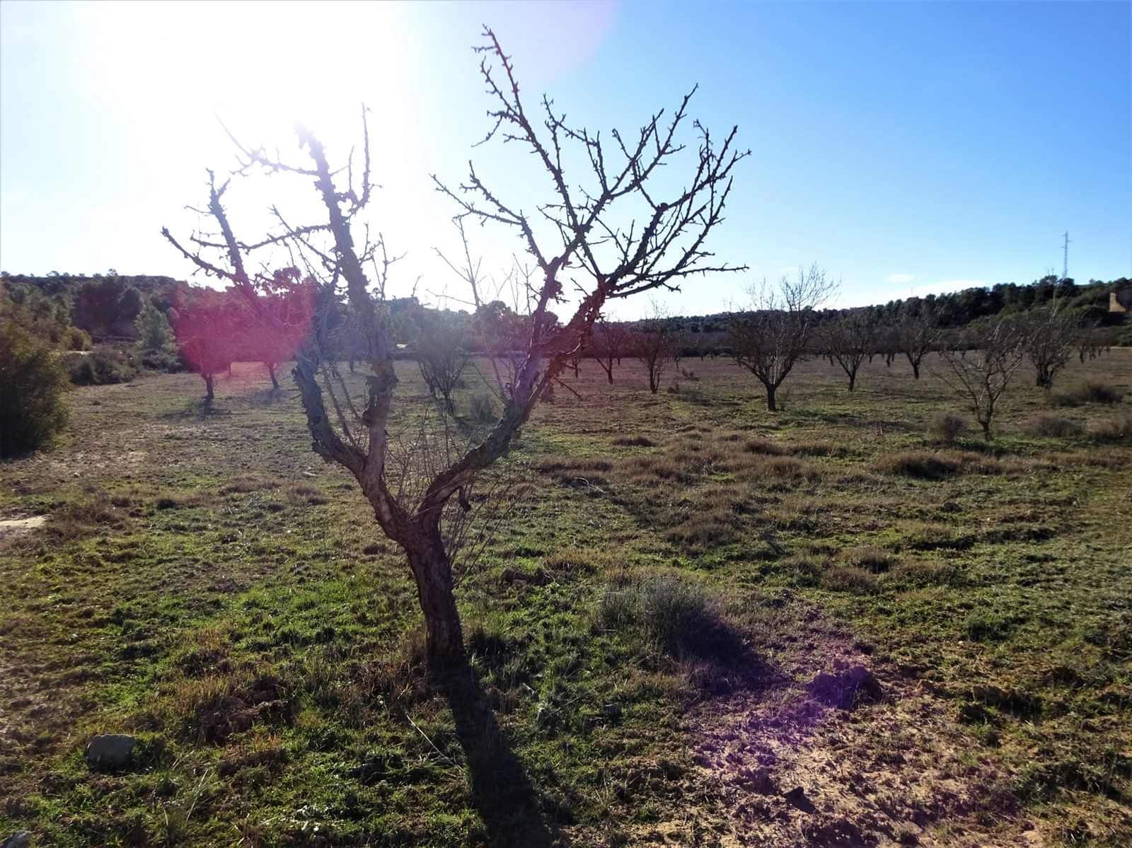 Maalaistalo myytävänä paikassa Fabara - 34 000 € (Ref: 9434734)