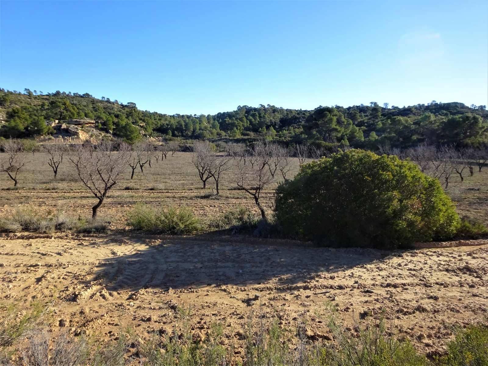 Maalaistalo myytävänä paikassa Fabara - 34 000 € (Ref: 9434734)