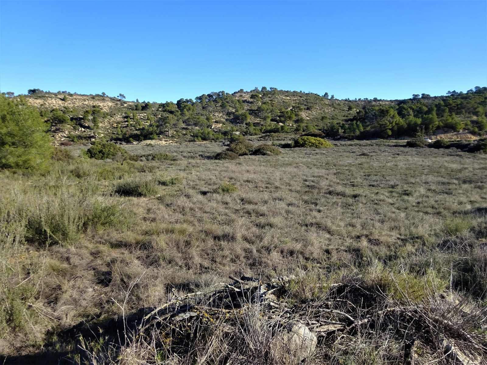 Maalaistalo myytävänä paikassa Fabara - 34 000 € (Ref: 9434734)