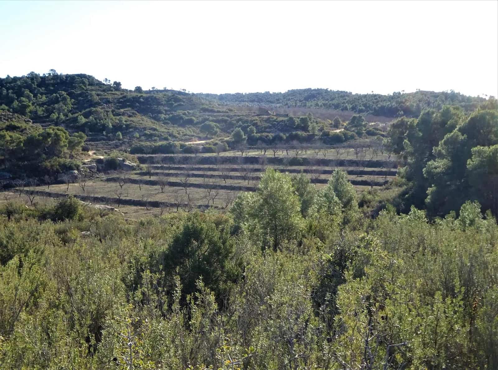 Maalaistalo myytävänä paikassa Fabara - 34 000 € (Ref: 9434734)