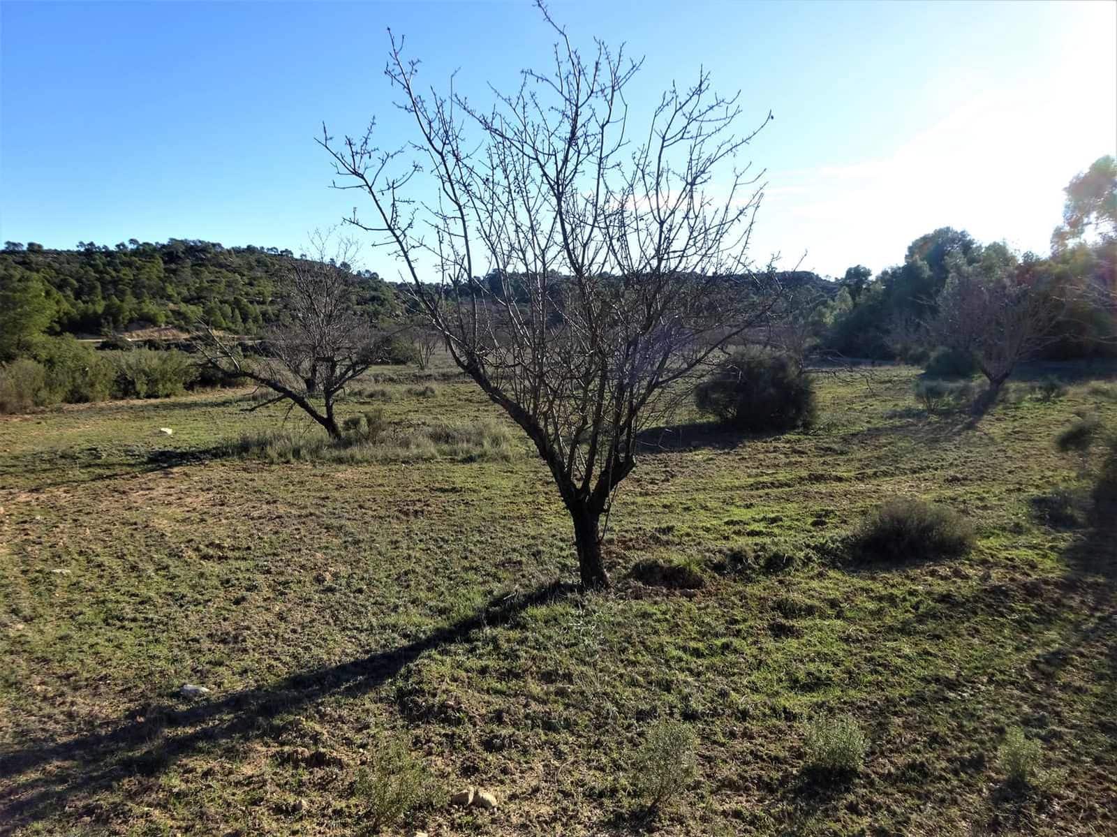 Maalaistalo myytävänä paikassa Fabara - 34 000 € (Ref: 9434734)