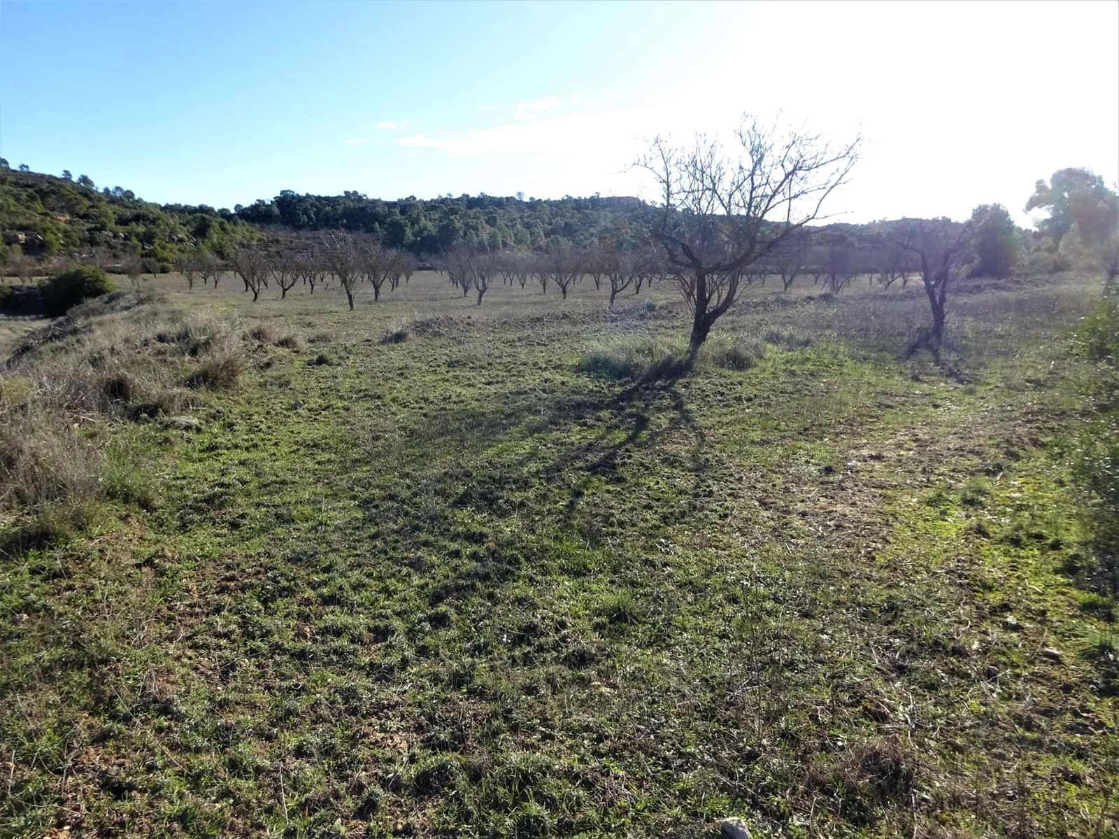 Maalaistalo myytävänä paikassa Fabara - 34 000 € (Ref: 9434734)