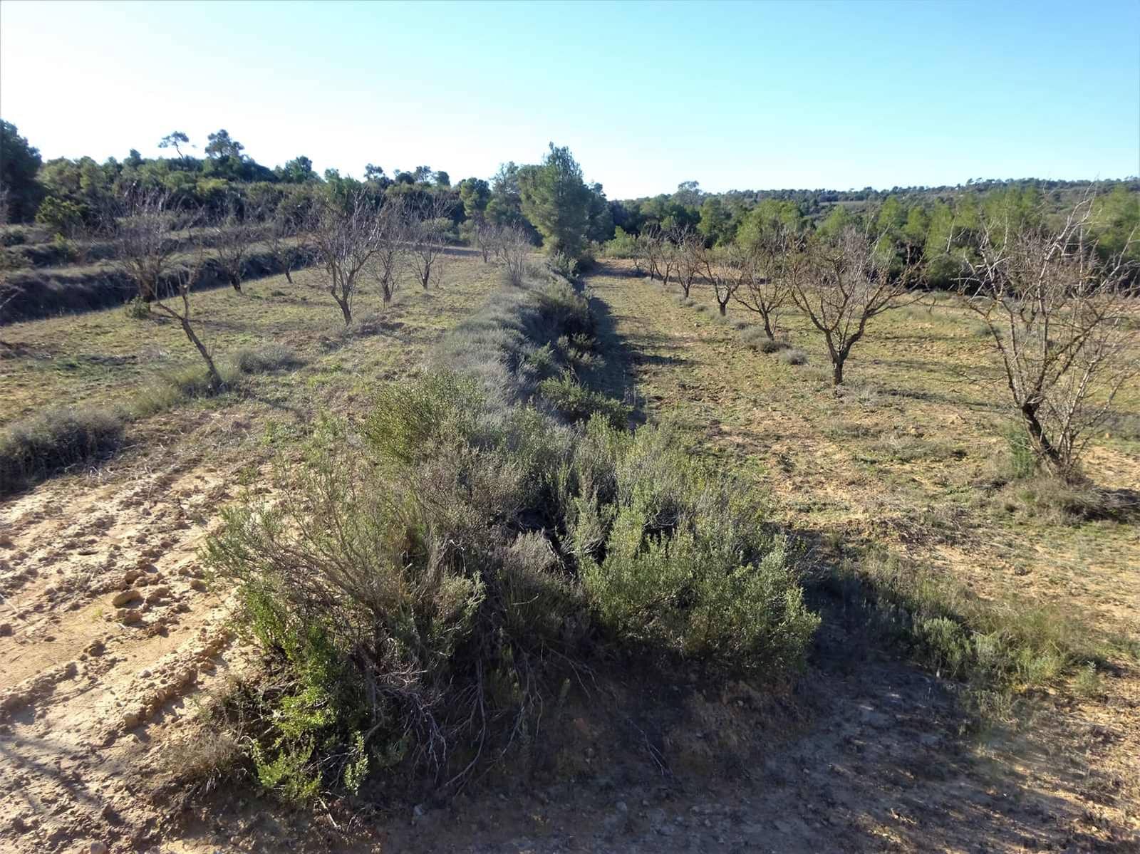 Maalaistalo myytävänä paikassa Fabara - 34 000 € (Ref: 9434734)