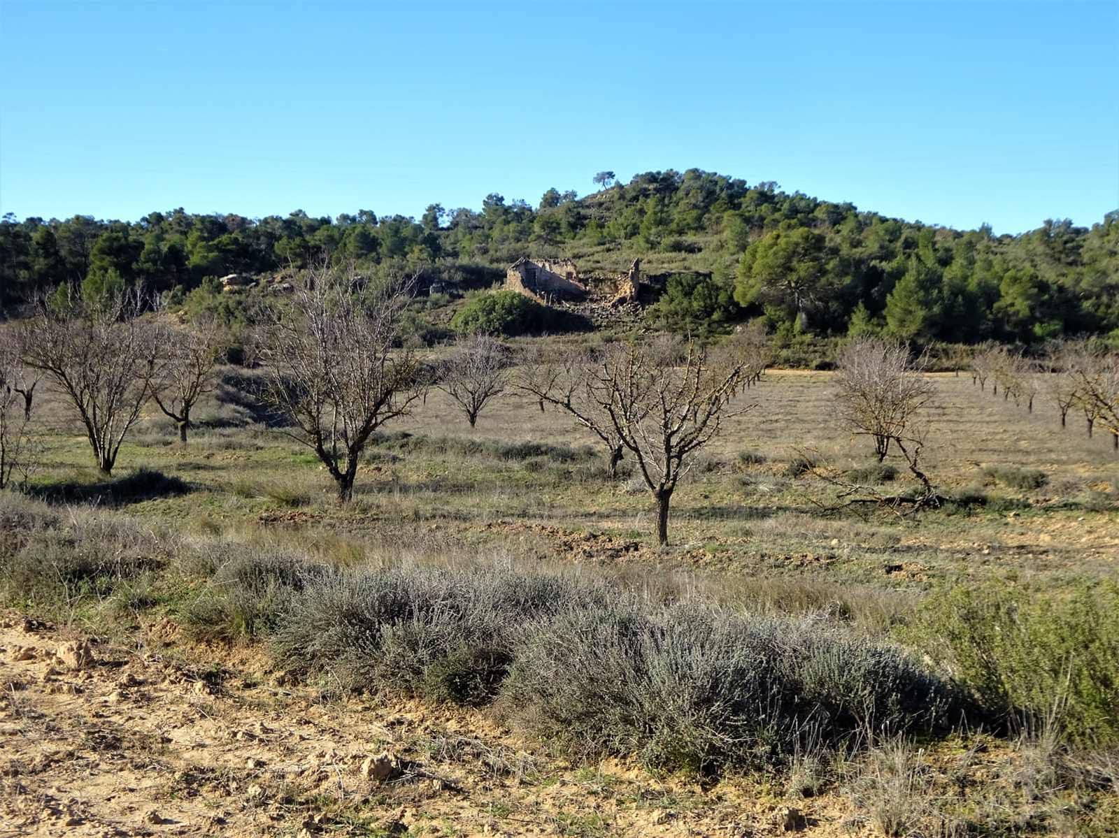 Maalaistalo myytävänä paikassa Fabara - 34 000 € (Ref: 9434734)