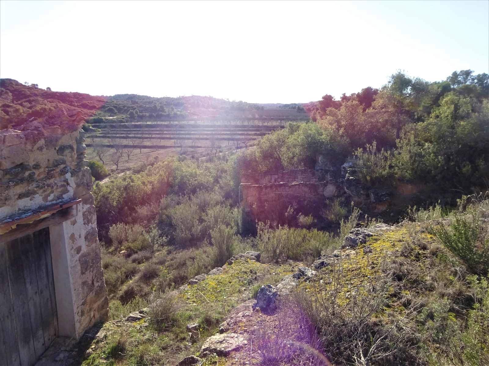 Quinta/Casa Rural para venda em Fabara - 29 000 € (Ref: 9434734)