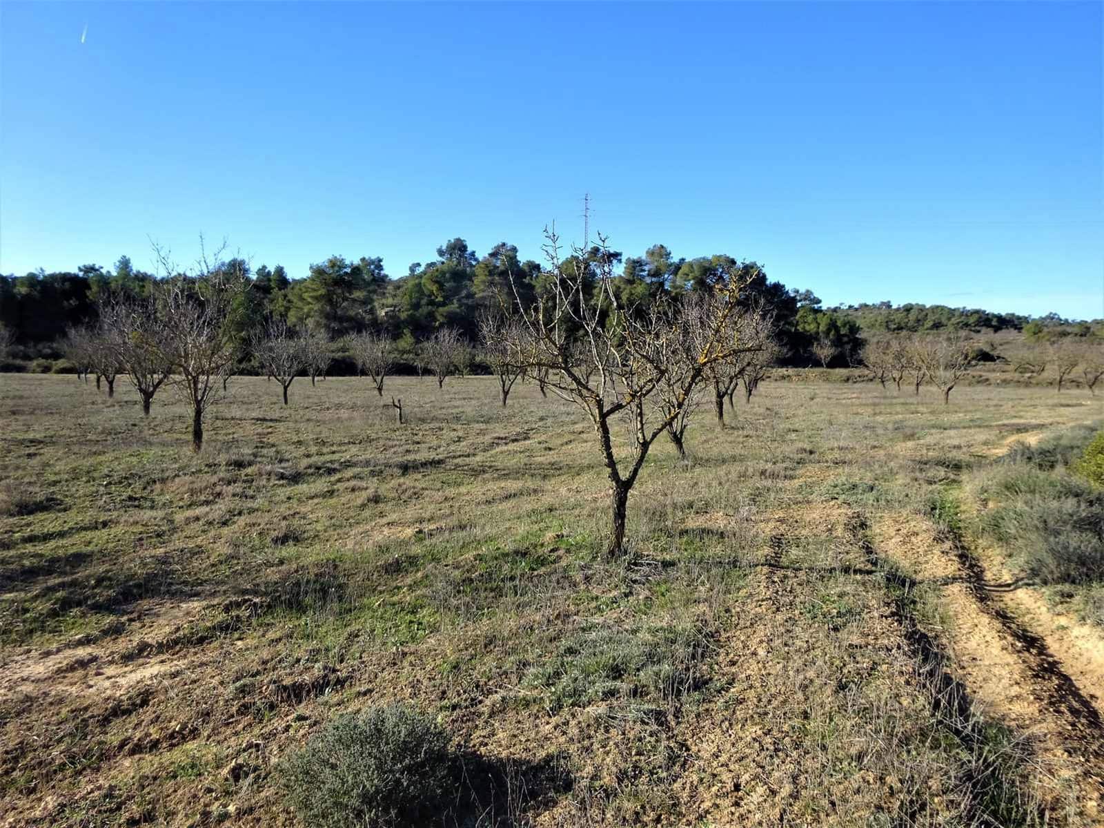 Quinta/Casa Rural para venda em Fabara - 29 000 € (Ref: 9434734)
