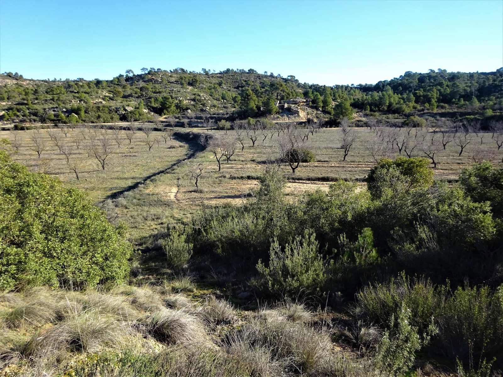 Quinta/Casa Rural para venda em Fabara - 29 000 € (Ref: 9434734)