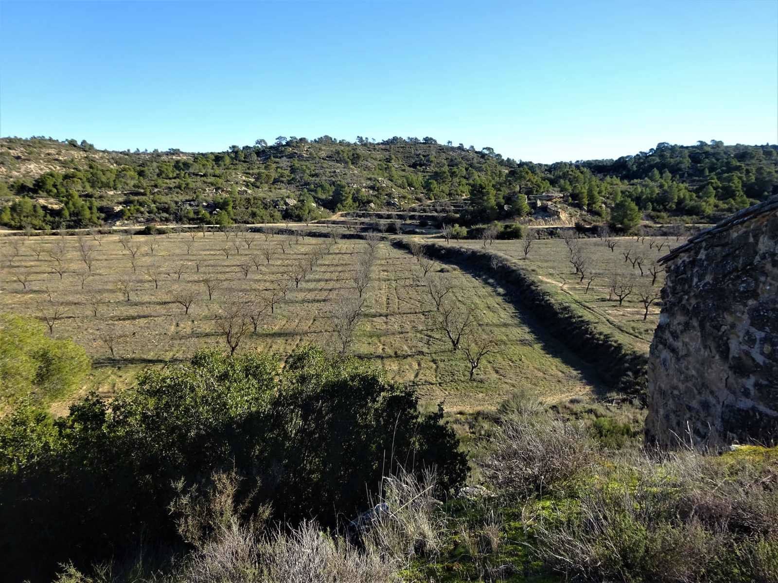Quinta/Casa Rural para venda em Fabara - 29 000 € (Ref: 9434734)