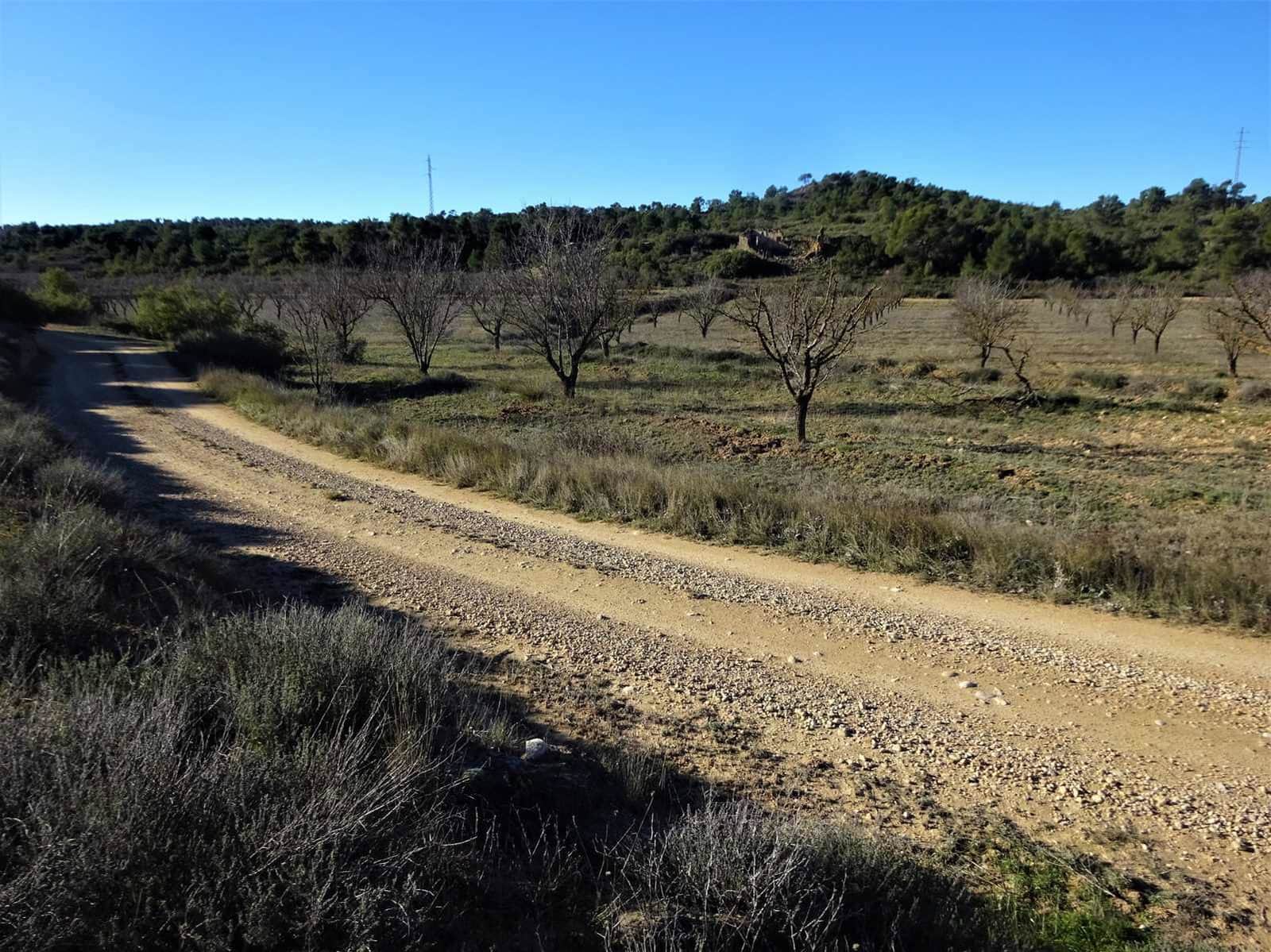 Quinta/Casa Rural para venda em Fabara - 29 000 € (Ref: 9434734)