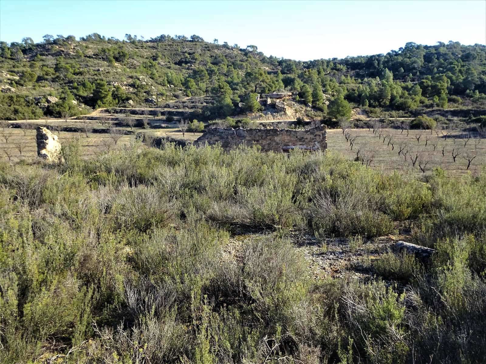 Quinta/Casa Rural para venda em Fabara - 29 000 € (Ref: 9434734)