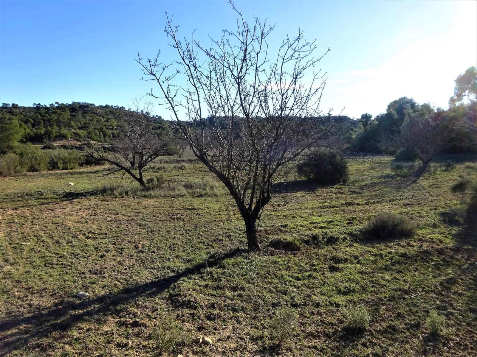 Quinta/Casa Rural para venda em Fabara - 29 000 € (Ref: 9434734)