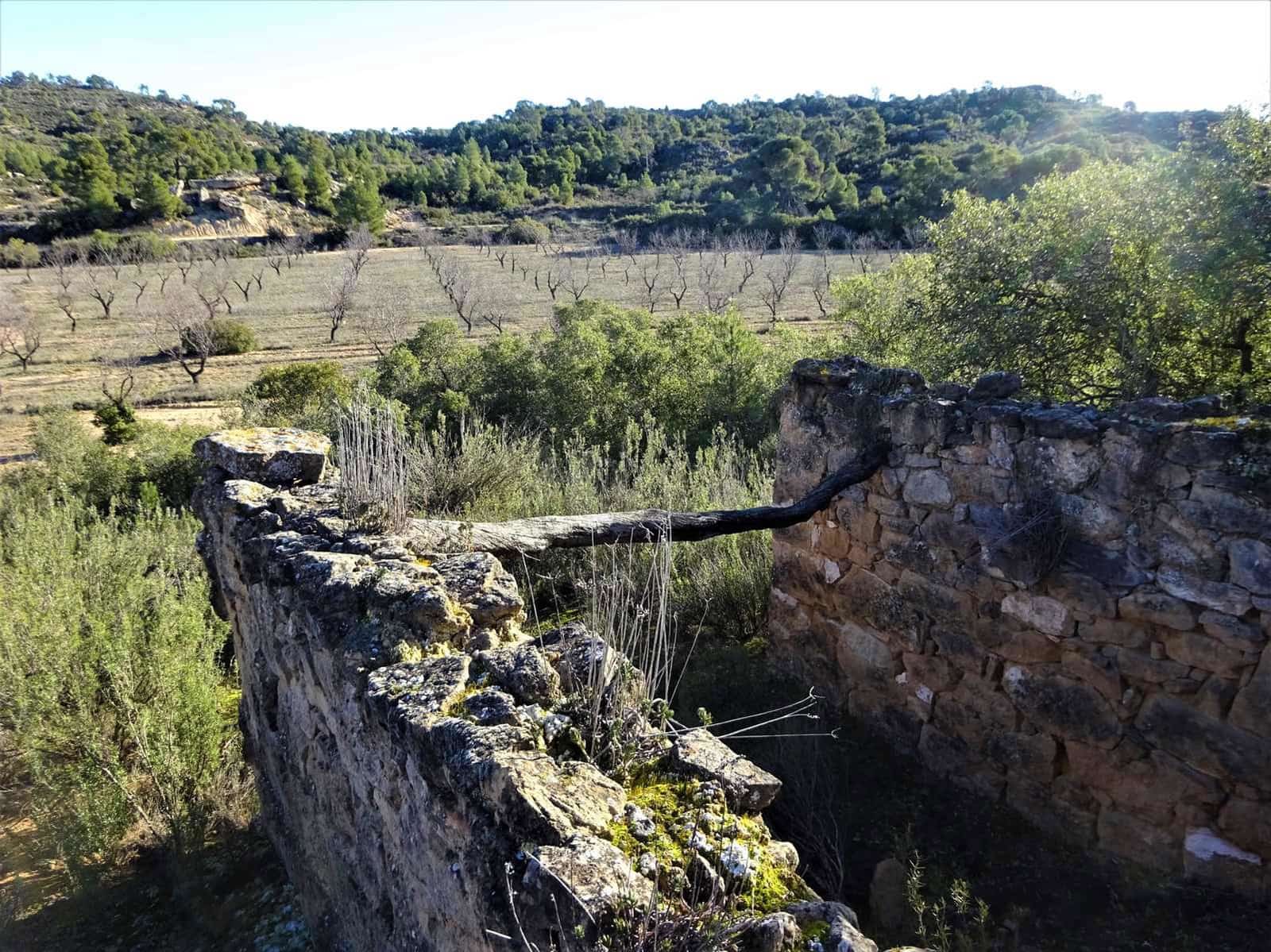 Quinta/Casa Rural para venda em Fabara - 29 000 € (Ref: 9434734)