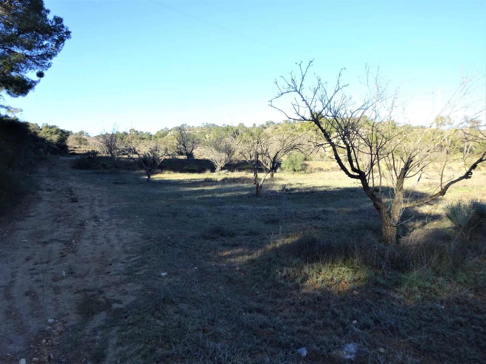 Quinta/Casa Rural para venda em Fabara - 29 000 € (Ref: 9434734)