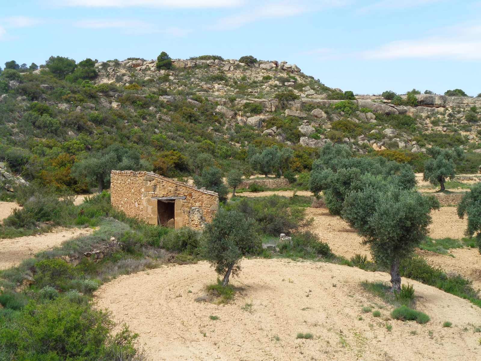 Finca/Country House for sale in Maella - € 12,000 (Ref: 9434735)
