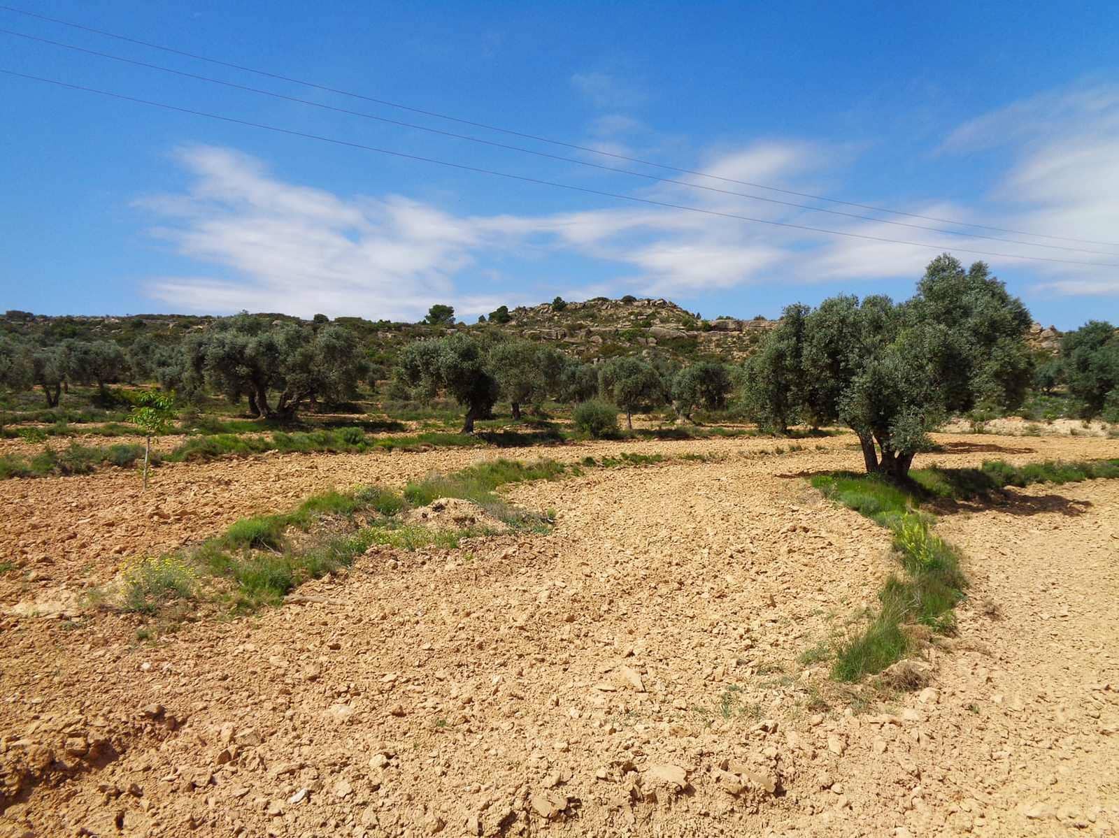 Finca/Country House for sale in Maella - € 12,000 (Ref: 9434735)