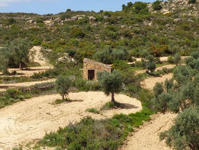 Finca/Country House for sale in Maella - € 12,000 (Ref: 9434735)