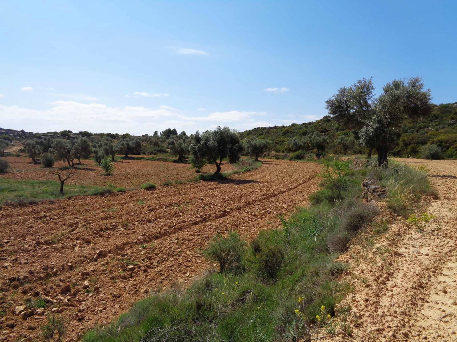 Finca/Country House for sale in Maella - € 12,000 (Ref: 9434735)