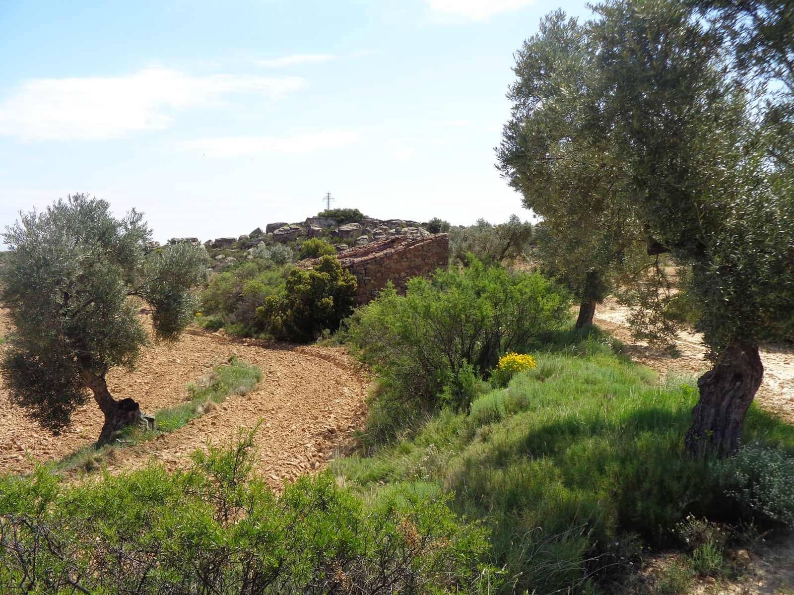 Finca/Country House for sale in Maella - € 12,000 (Ref: 9434735)