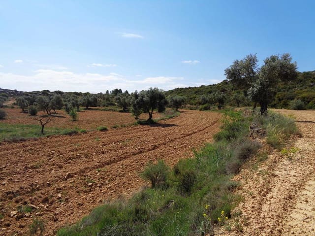 Finca/Country House for sale in Maella - € 12,000 (Ref: 9434735)