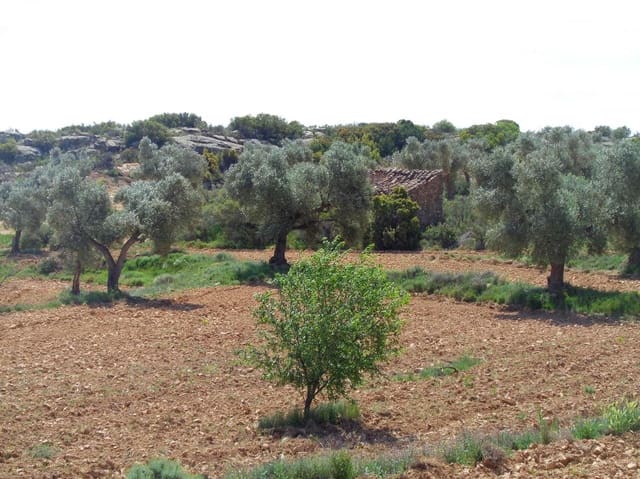 Finca/Country House for sale in Maella - € 12,000 (Ref: 9434735)