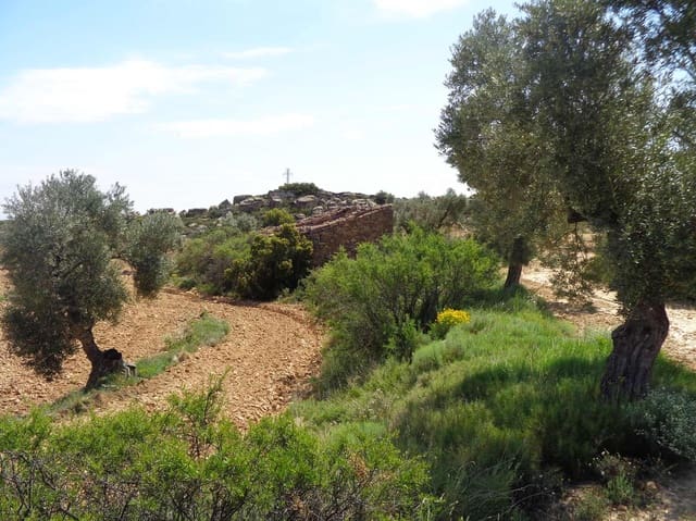 Finca/Country House for sale in Maella - € 12,000 (Ref: 9434735)