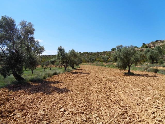 Finca/Country House for sale in Maella - € 12,000 (Ref: 9434735)