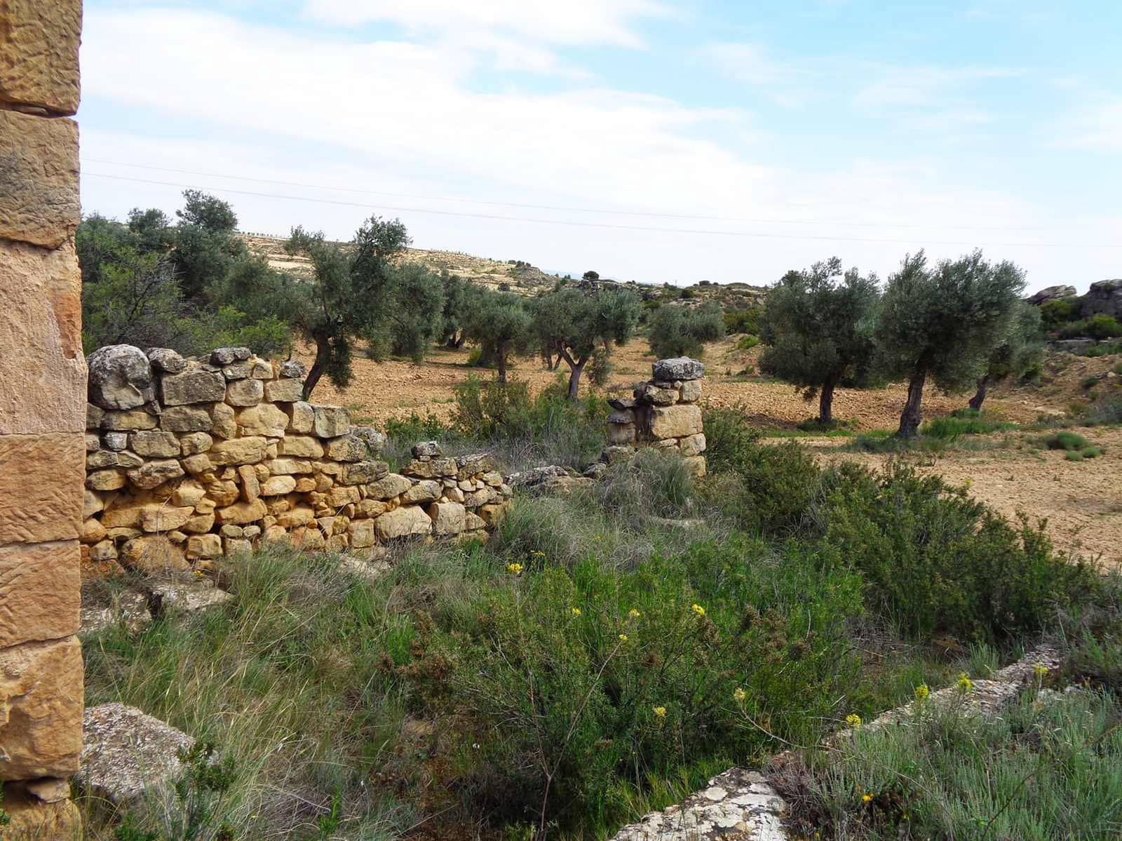 Finca/Country House for sale in Maella - € 12,000 (Ref: 9434735)