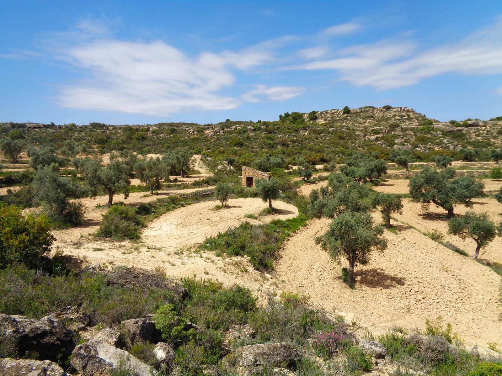 Finca/Country House for sale in Maella - € 12,000 (Ref: 9434735)