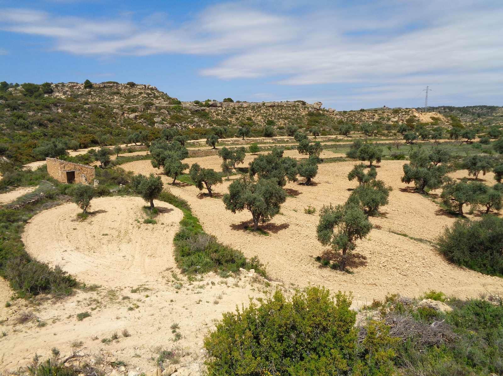 Finca/Country House for sale in Maella - € 12,000 (Ref: 9434735)