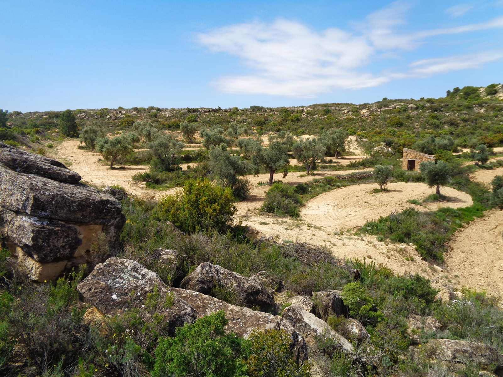 Finca/Country House for sale in Maella - € 12,000 (Ref: 9434735)