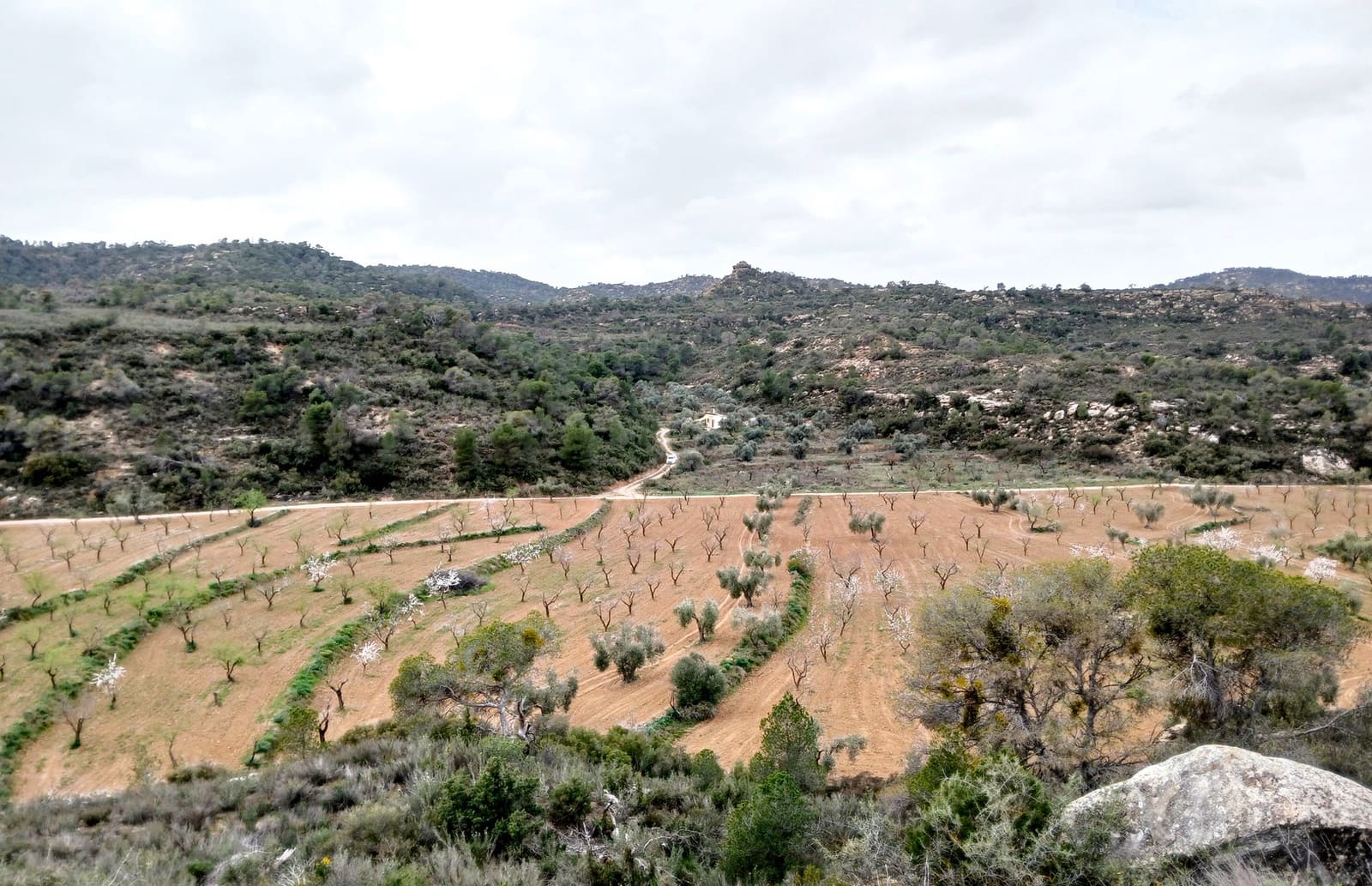 1 bedroom Finca/Country House for sale in Maella - € 135,000 (Ref: 9506592)