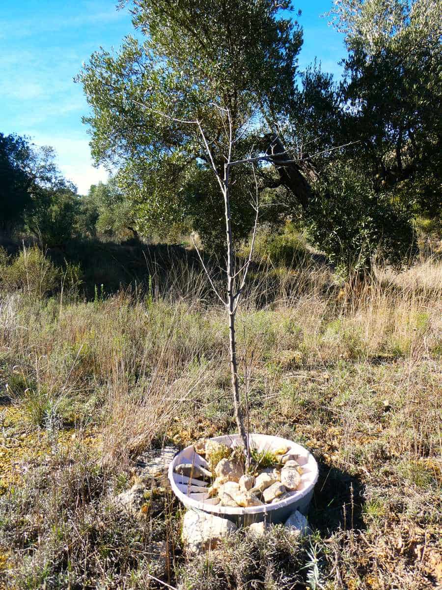 1 bedroom Finca/Country House for sale in Maella - € 135,000 (Ref: 9506592)