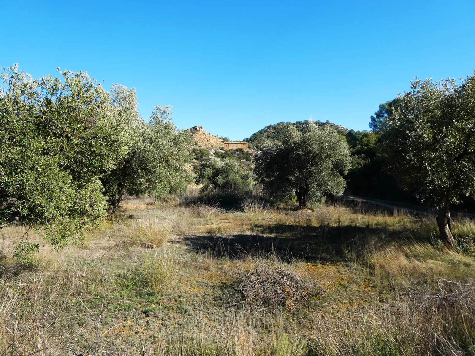 1 bedroom Finca/Country House for sale in Maella - € 135,000 (Ref: 9506592)