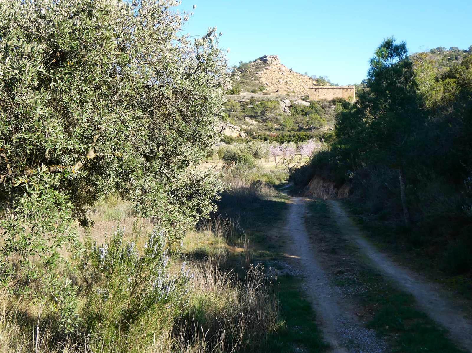 1 bedroom Finca/Country House for sale in Maella - € 135,000 (Ref: 9506592)